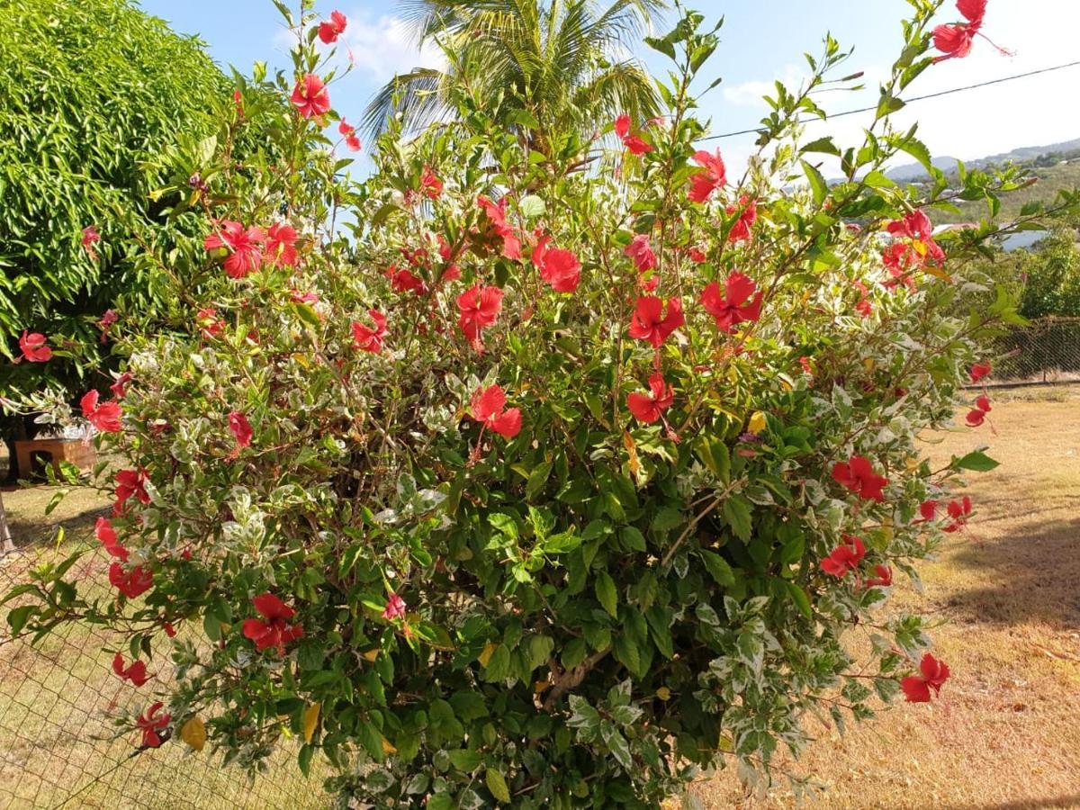 Villa Soleil Dz Baillif Buitenkant foto